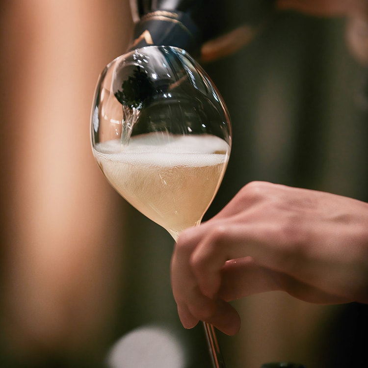 Champagne glasses clink in festive moment.